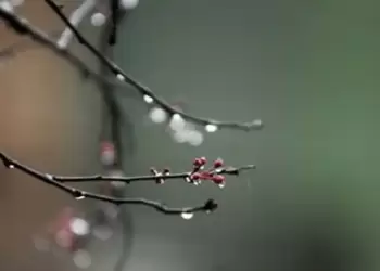 Ο Καιρός στην Κατερίνη και την Πιερία σήμερα, Σάββατο 20/1: Συννεφιά με τοπικές βροχές και βαθμιαία σποραδικές καταιγίδες