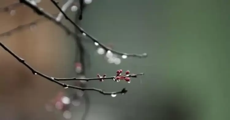 Ο Καιρός στην Κατερίνη και την Πιερία σήμερα, Σάββατο 20/1: Συννεφιά με τοπικές βροχές και βαθμιαία σποραδικές καταιγίδες Ο Καιρός στην Κατερίνη και την Πιερία σήμερα, Σάββατο 20/1: Συννεφιά με τοπικές βροχές και βαθμιαία σποραδικές καταιγίδες