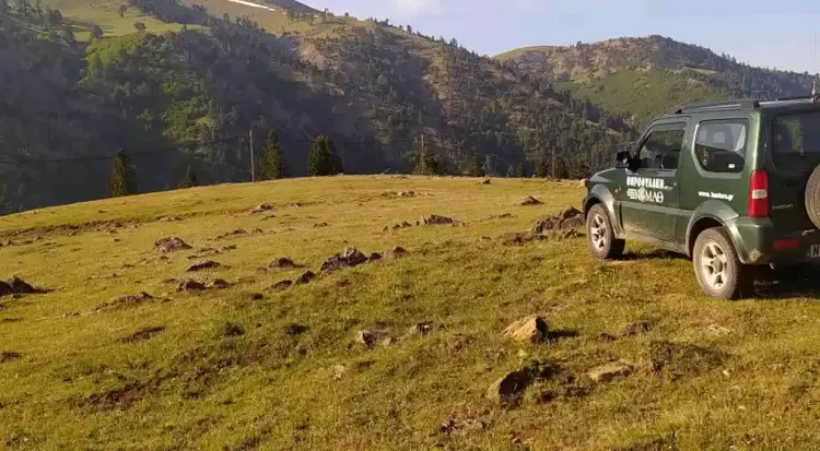ΚΟΜΑΘ και Πανελλήνιος Κτηνιατρικός Σύλλογος (ΠΚΣ) σε κοινή γραμμή για τον απαράδεκτο και εισπρακτικού χαρακτήρα νόμο «ΑΡΓΟΣ»
