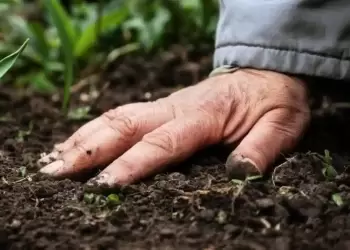 Μαύρες γιορτές για τον αγροτικό κόσμο επιφύλαξε ή ΝΔ