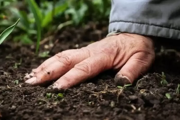 Μαύρες γιορτές για τον αγροτικό κόσμο επιφύλαξε ή ΝΔ