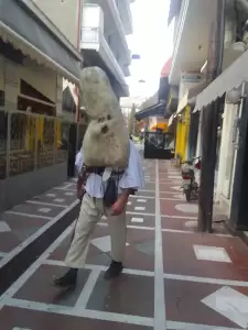 Οι Λιβαδιώτες της Κατερίνης με το διονυσιακό έθιμο, “Τα Μπαμπαλιούρια”