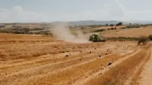 Αιγίνιο: Η κωμόπολη των πελαργών