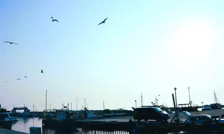 Δημοτικό Λιμενικό Ταμείο αποφάσισε το Δ.Σ. Κατερίνης