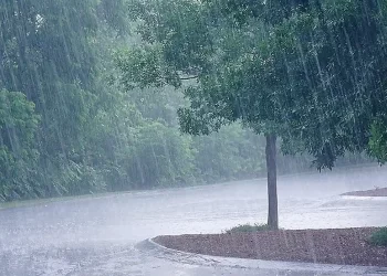 Ο Καιρός στην Κατερίνη και την Πιερία σήμερα, Δευτέρα 26/2: Βροχές και σποραδικές καταιγίδες