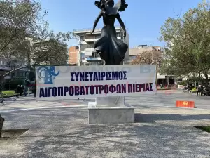 Κατερίνη: Με τα τρακτέρ στην κεντρική πλατεία της πόλης (εικόνες)