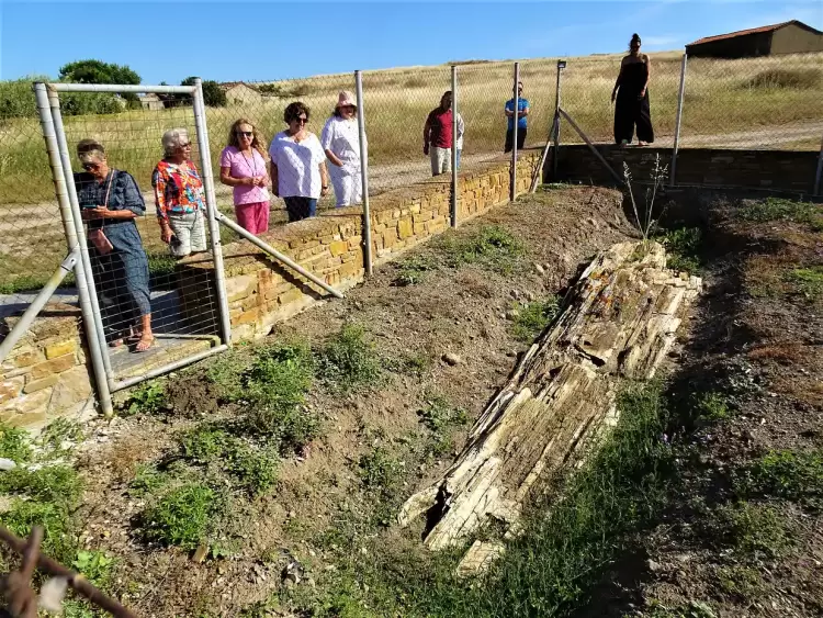 Η Λήμνος μέσα από εικόνες –  Απολιθωμένο δάσος