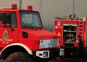 Πιερία: Υπό έλεγχο η φωτιά στην περιοχή του Αγίου Δημητρίου