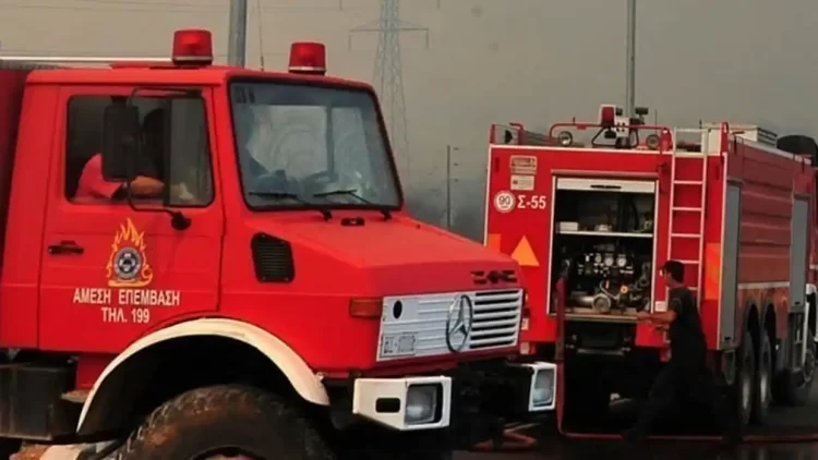 Πιερία: Υπό έλεγχο η φωτιά στην περιοχή του Αγίου Δημητρίου