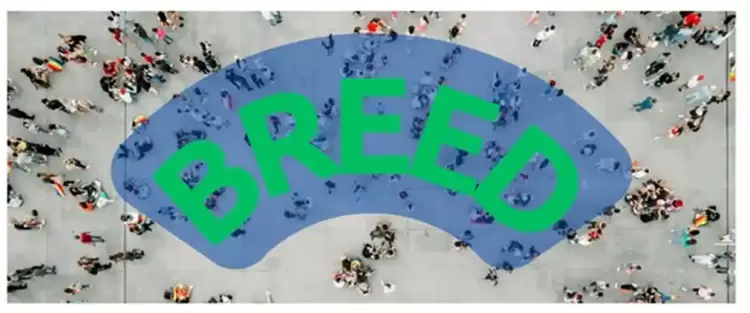 BREED: Τα σχέδια δράσης για την κοινωνική οικονομία γίνονται πραγματικότητα Breed: Τα σχέδια δράσης για την κοινωνική οικονομία γίνονται πραγματικότητα