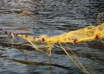 Απαγόρευση ενάσκησης επαγγελματικής και ερασιτεχνικής αλιείας στη λίμνη Βόλβη