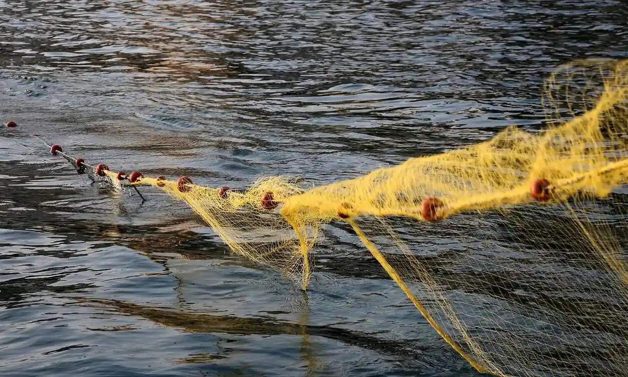 Απαγόρευση ενάσκησης επαγγελματικής και ερασιτεχνικής αλιείας στη λίμνη Βόλβη