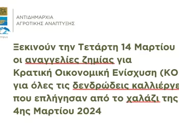 Δήμος Δίου Ολύμπου: Ξεκινούν την Τετάρτη 14/03 οι αναγγελίες ζημίας για Κρατική Οικονομική Ενίσχυση (ΚΟΕ)