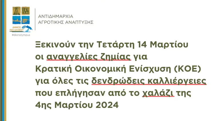 Δήμος Δίου Ολύμπου: Ξεκινούν την Τετάρτη 14/03 οι αναγγελίες ζημίας για Κρατική Οικονομική Ενίσχυση (ΚΟΕ)