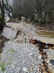 Κατερίνη: Κλιμάκια του Δήμου συνεχίζουν την αποτίμηση των ζημιών από την κακοκαιρία