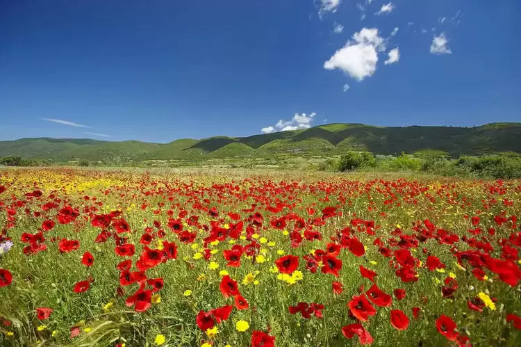 Η Λήμνος μέσα από εικόνες – Έφτασε η άνοιξη