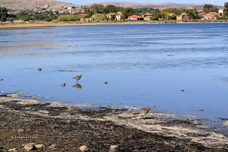 Η Λήμνος μέσα από εικόνες – Το παλιό Πεδινό