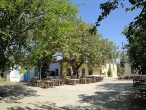 Η Λήμνος μέσα από εικόνες – Το παλιό Πεδινό