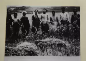 19ο Νηπιαγωγείο Κατερίνης - Λαογραφικό μουσείο (εικόνες) 19ο Νηπιαγωγείο Κατερίνης – Λαογραφικό μουσείο