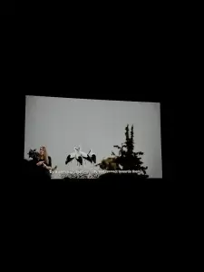 Αιγίνιο: Η κωμόπολη των πελαργών