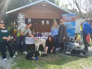 Άψογη ήταν η διοργάνωση της πρώτης γιορτής υιοθεσίας αδέσποτων ζώων στον Καπνικό Σταθμό Κατερίνης Άψογη ήταν η διοργάνωση της πρώτης γιορτής υιοθεσίας αδέσποτων ζώων στον Καπνικό Σταθμό Κατερίνης