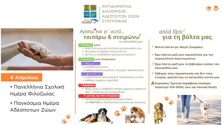 Δήμος Δίου Ολύμπου: Ενημερωτική εκδήλωση στο 2ο Δημοτικό Σχολείο Λιτοχώρου για την Παγκόσμια Ημέρα Αδέσποτων Ζώων