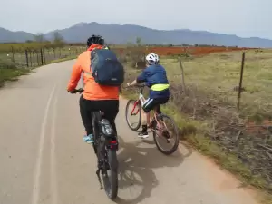 ΕΛ.Π.ΠΙ. Επετειακή: «11η Ποδηλατοβόλτα Ανθισμένες Κερασιές»