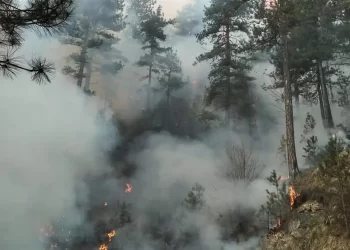 Φωτιά στα Πιέρια Όρη: Μάχη με τις φλόγες για τρίτη ημέρα – ραυματίστηκε εθελοντής πυροσβέστης