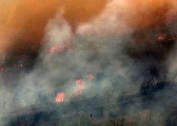 Καμπανάκι πυρομετεωρολόγου: Μεγάλη ανησυχία για τις δασικές πυρκαγιές – Το τρίπτυχο της διαχείρισης 