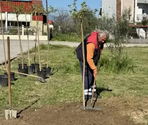 Κατερίνη: Δενδροφύτευση στην οδό Μακεδονομάχων Κατερίνη: Δενδροφύτευση στην οδό Μακεδονομάχων
