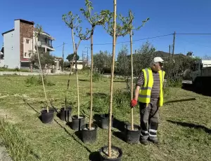 Κατερίνη: Δενδροφύτευση στην οδό Μακεδονομάχων Κατερίνη: Δενδροφύτευση στην οδό Μακεδονομάχων