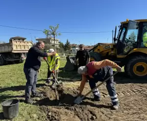 Κατερίνη: Δενδροφύτευση στην οδό Μακεδονομάχων Κατερίνη: Δενδροφύτευση στην οδό Μακεδονομάχων