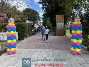 Κατερίνη – «Υιοθετώ! Δεν Αγοράζω!» – Η 1η γιορτή υιοθεσίας αδέσποτων ζώων του Δήμο είναι γεγονός