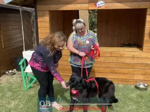 Κατερίνη – «Υιοθετώ! Δεν Αγοράζω!» – Η 1η γιορτή υιοθεσίας αδέσποτων ζώων του Δήμο είναι γεγονός