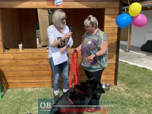 Κατερίνη – «Υιοθετώ! Δεν Αγοράζω!» – Η 1η γιορτή υιοθεσίας αδέσποτων ζώων του Δήμο είναι γεγονός