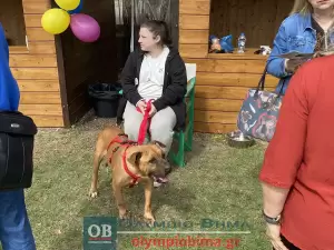 Κατερίνη – «Υιοθετώ! Δεν Αγοράζω!» – Η 1η γιορτή υιοθεσίας αδέσποτων ζώων του Δήμο είναι γεγονός