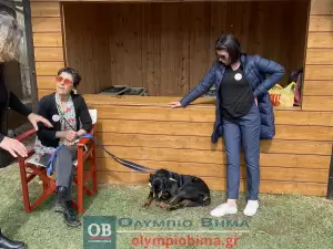 Κατερίνη – «Υιοθετώ! Δεν Αγοράζω!» – Η 1η γιορτή υιοθεσίας αδέσποτων ζώων του Δήμο είναι γεγονός