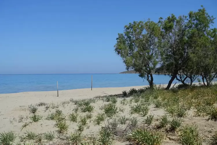 Η Λήμνος μέσα από εικόνες – Ηρεμία, γαλήνη, ωραία θάλασσα για μπάνιο