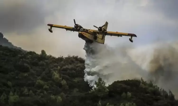 Νίκη Πιερίας: Ποιος είναι ο σχεδιασμός της κυβέρνησης για την αντιπυρική προστασία του καλοκαιριού;