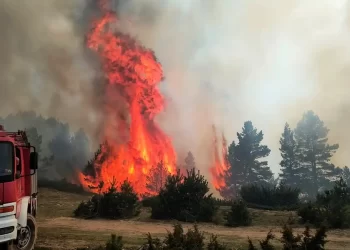 Όταν καίγονται τα Πιέρια όρη… δεν καίγεται καρφί στην Κυβέρνηση της ΝΔ