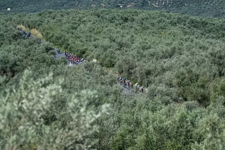 Π. Ε. Πιερίας και Π.Ο.Τ.Α.Π. στη συνδιοργάνωση για την αθλητική δράση «ΔΕΗ-Διεθνής Ποδηλατικός Γύρος Ελλάδας 2024» Π. Ε. Πιερίας και Π.Ο.Τ.Α.Π. στη συνδιοργάνωση για την αθλητική δράση «ΔΕΗ Διεθνής Ποδηλατικός Γύρος Ελλάδας 2024»