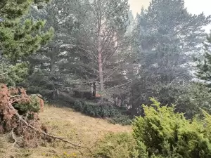 Πιερία: Με μια κορυφή λιγότερη τα Πιέρια!  Η φωτιά έκαψε το «Λαπούσι» (2.005 μ.) και συνεχίζει … ανενόχλητη!!!