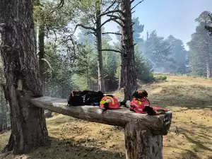 Πιερία: Με μια κορυφή λιγότερη τα Πιέρια!  Η φωτιά έκαψε το «Λαπούσι» (2.005 μ.) και συνεχίζει … ανενόχλητη!!!