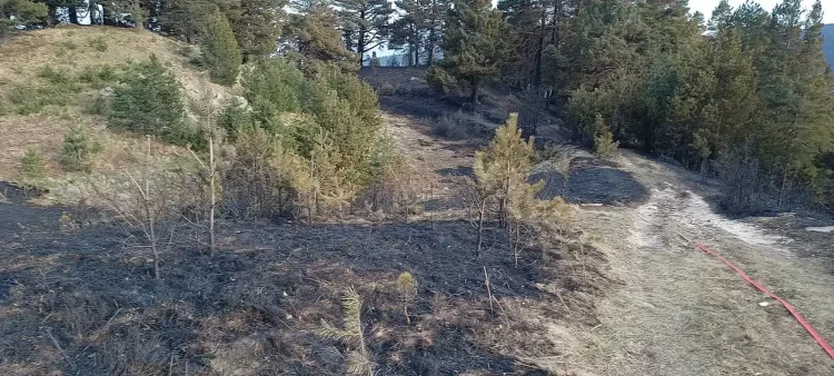Πιερία: Οριοθετήθηκε η πυρκαγιά στα Πιέρια Όρη – Αποκλειστικές δηλώσεις του Διευθυντή Δασών