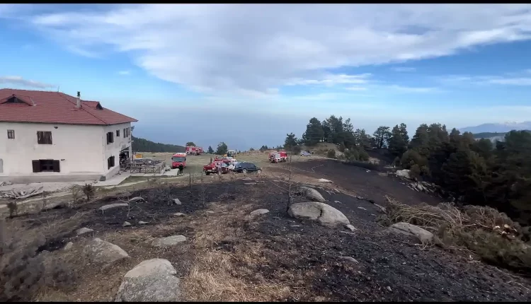 Τι έκανε ο Δήμος Κατερίνης για την πυρκαγιά στα Πιέρια Όρη