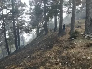 Ο βουλευτής Δελβερούδης στα φωτιά στα Πιέρια