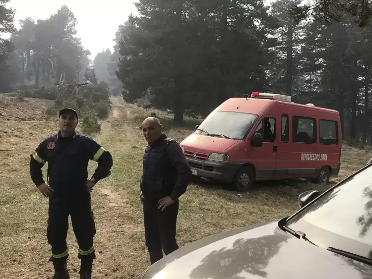 Ο βουλευτής Δελβερούδης στα φωτιά στα Πιέρια