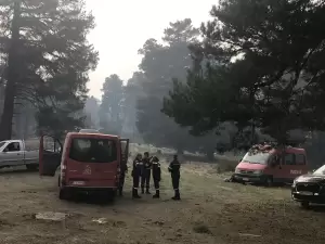 Ο βουλευτής Δελβερούδης στα φωτιά στα Πιέρια