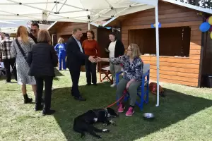 «Υιοθετώ! Δεν Αγοράζω!» – Η 1η γιορτή υιοθεσίας αδέσποτων ζώων του Δήμου Κατερίνης είναι γεγονός  