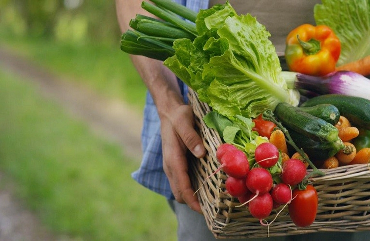 Υπάρχουν υπολείμματα φυτοφαρμάκων στα τρόφιμα;  – Tι έδειξαν τα στοιχεία σε 12 προϊόντα που ελέγχθηκαν